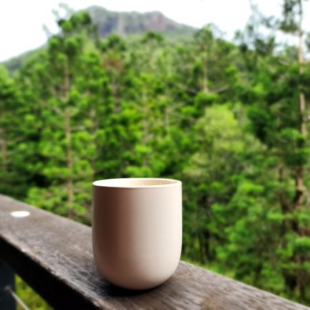 Cup of coffee with nature backdrop